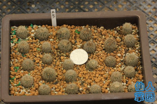 2_640x427.JPG