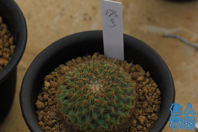 173_640x427.JPG
