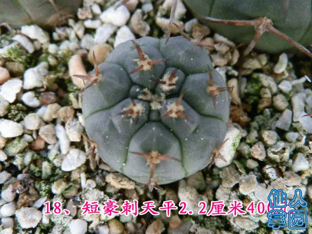 P1010318.JPG