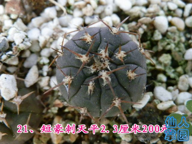P1010321.JPG
