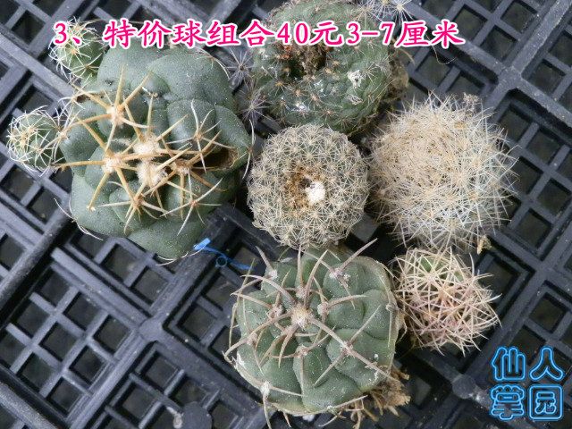 P1010301.JPG