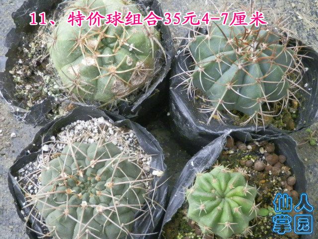 P1010310.JPG