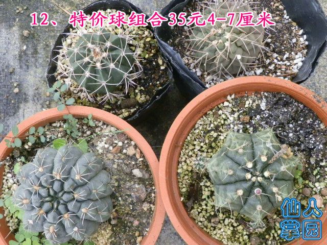 P1010311.JPG