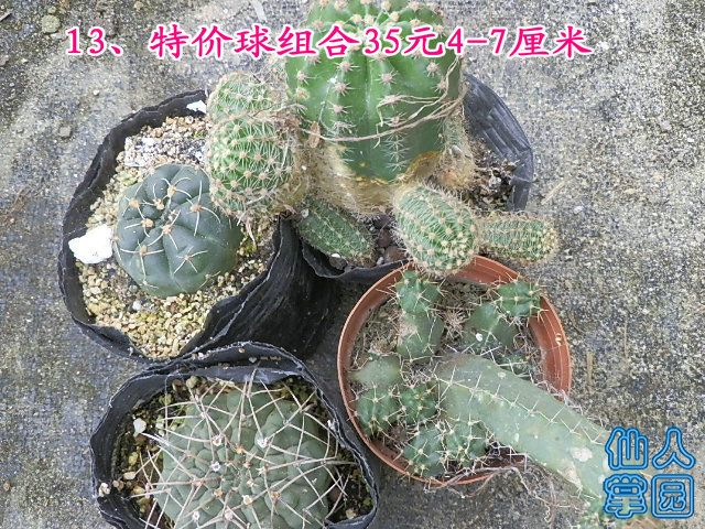 P1010312.JPG