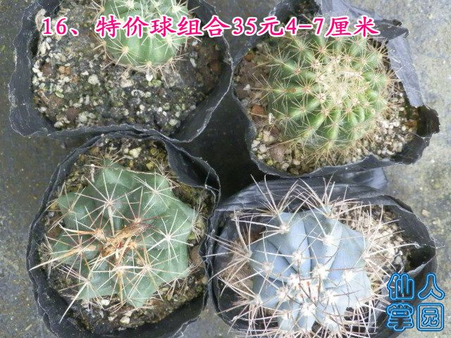 P1010315.JPG