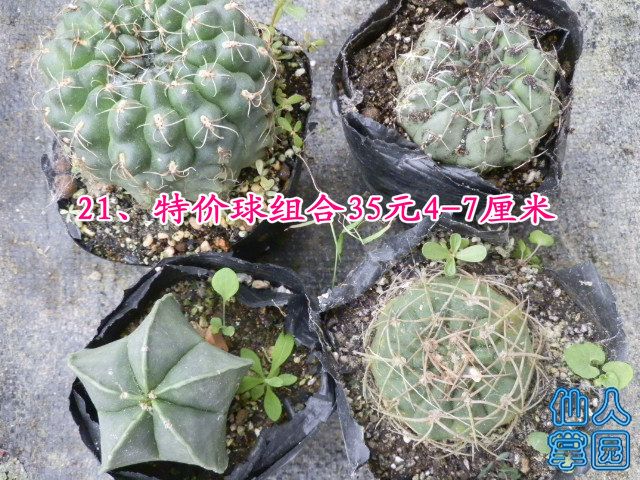 P1010320.JPG