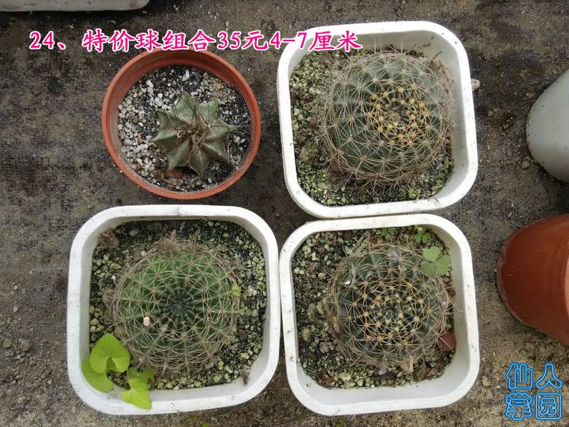QQͼƬ20141013121742.jpg