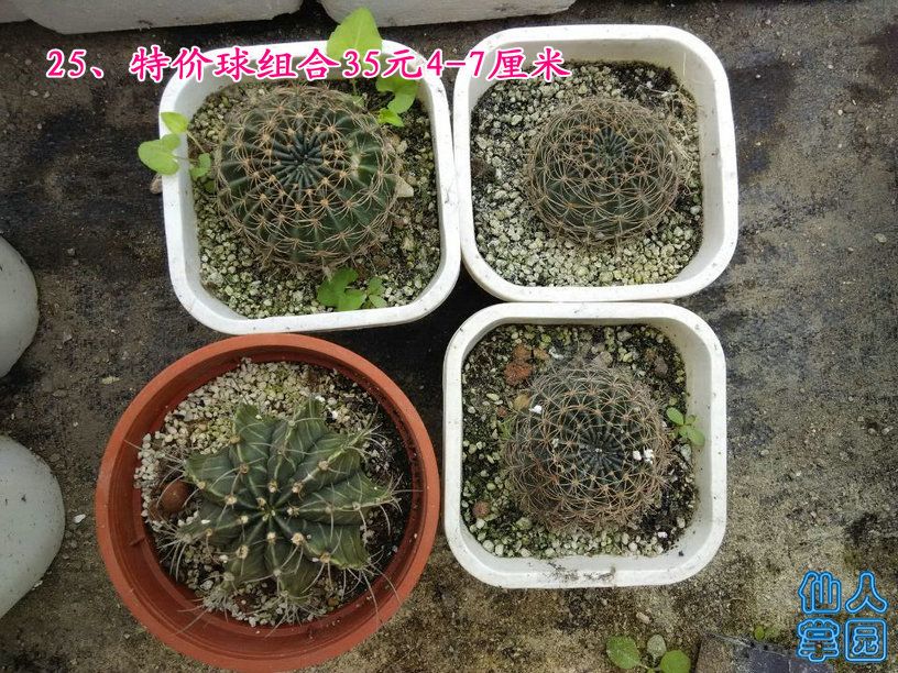 QQͼƬ20141013121759.jpg