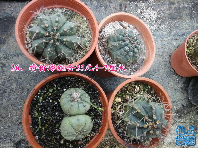 QQͼƬ20141013121804.jpg