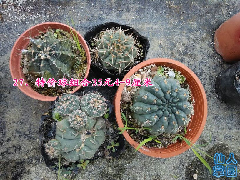 QQͼƬ20141013121817.jpg