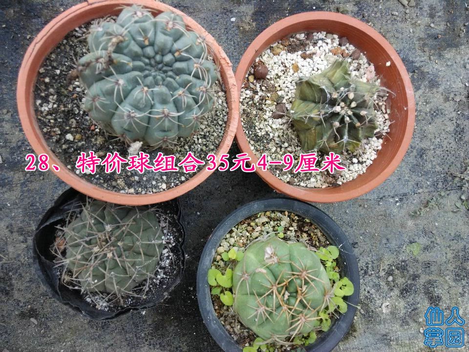 QQͼƬ20141013121822.jpg