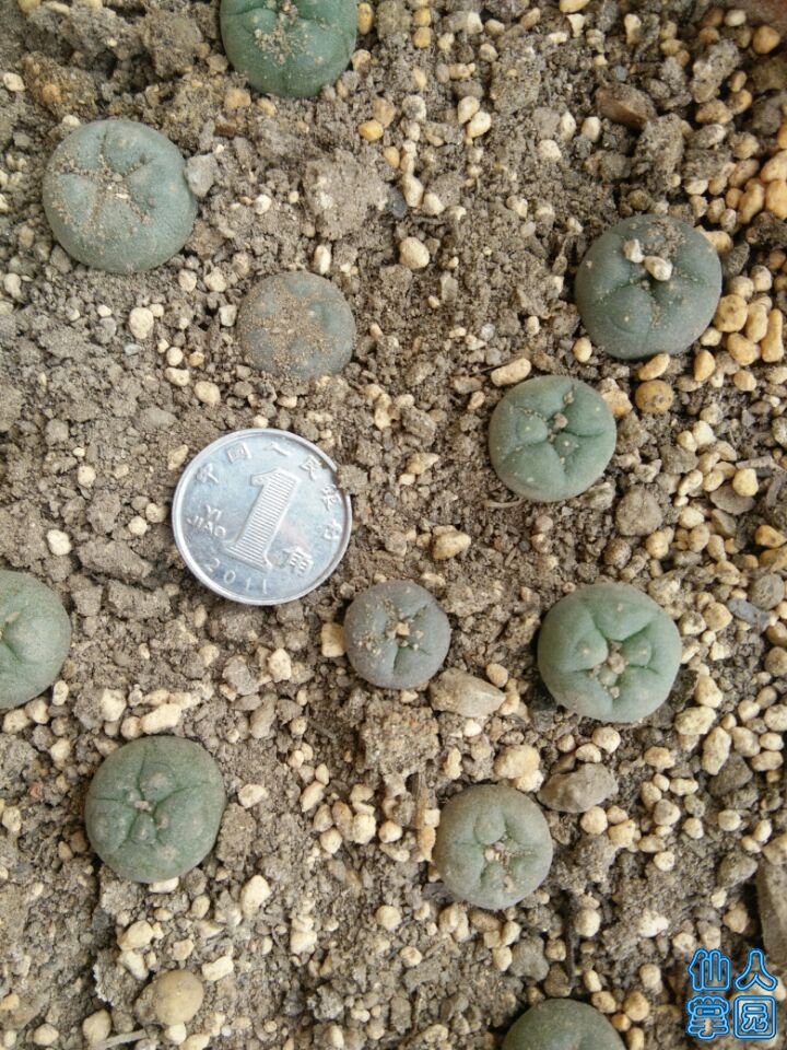 QQ图片20180414081211.jpg