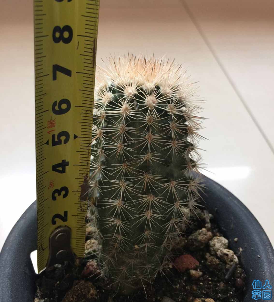 QQͼƬ20180513160914.jpg