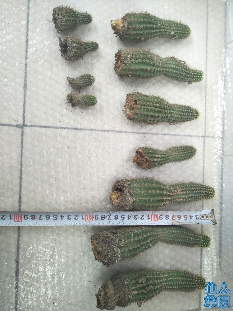IMG20180604085118.jpg
