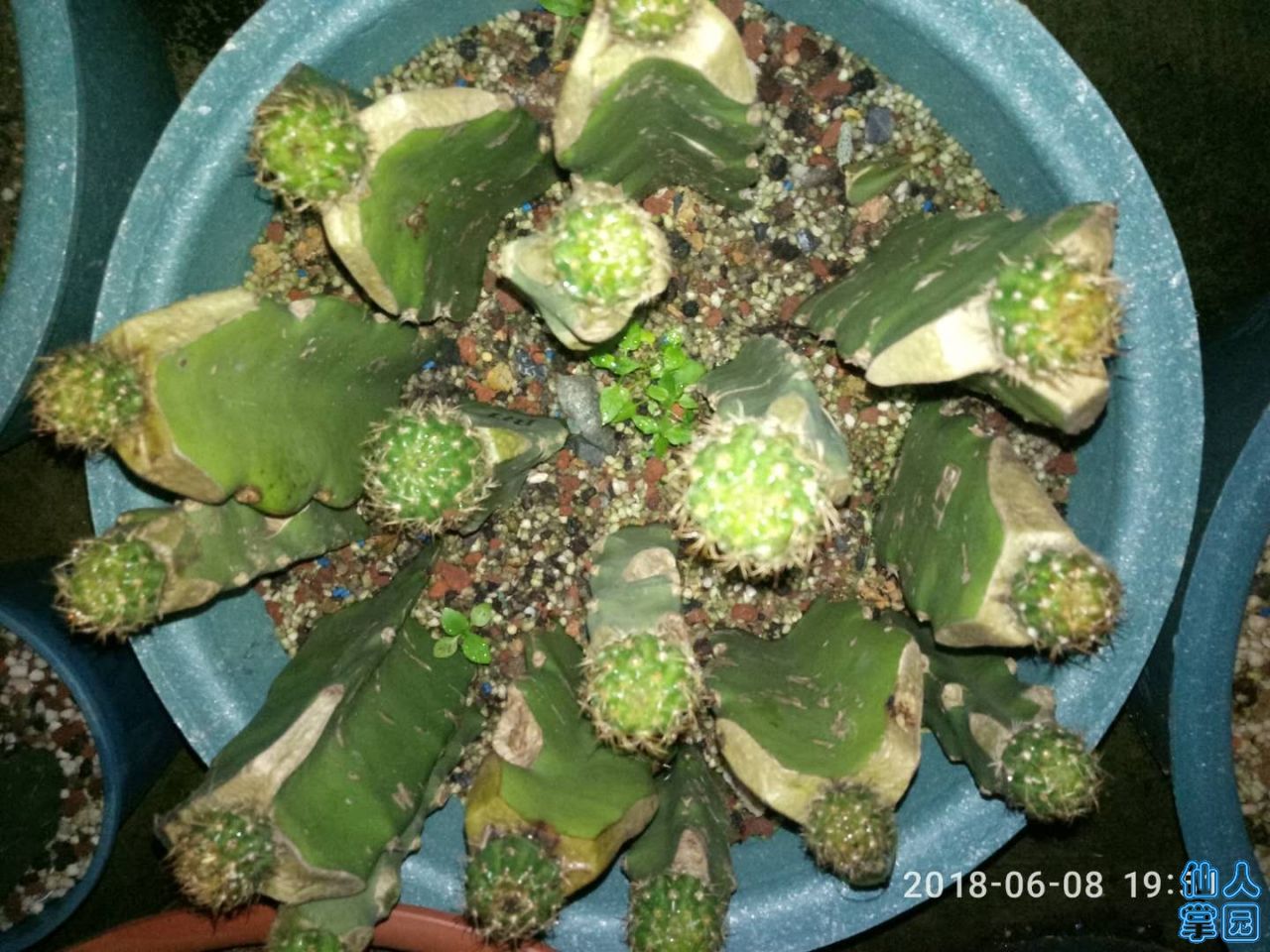 1140338744.jpg