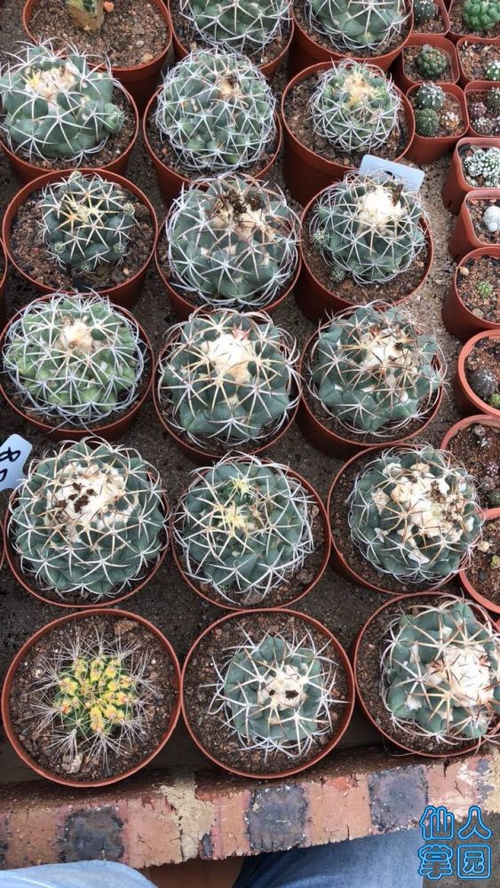 ?图片_20180613155917.jpg