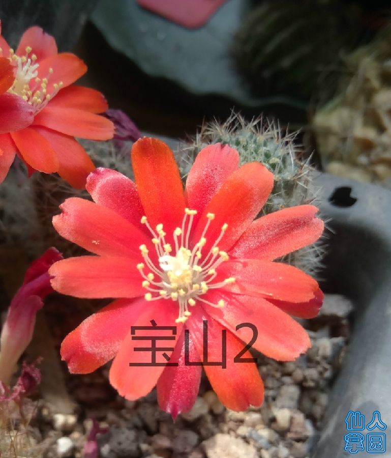 IMG_20180615_104546_看图