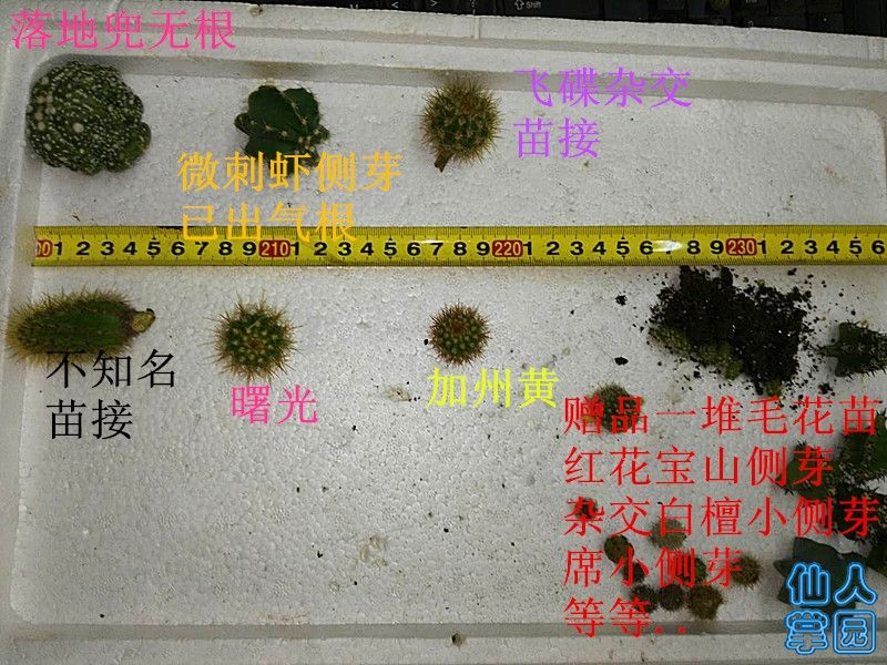 ?图片_20180629111733.jpg