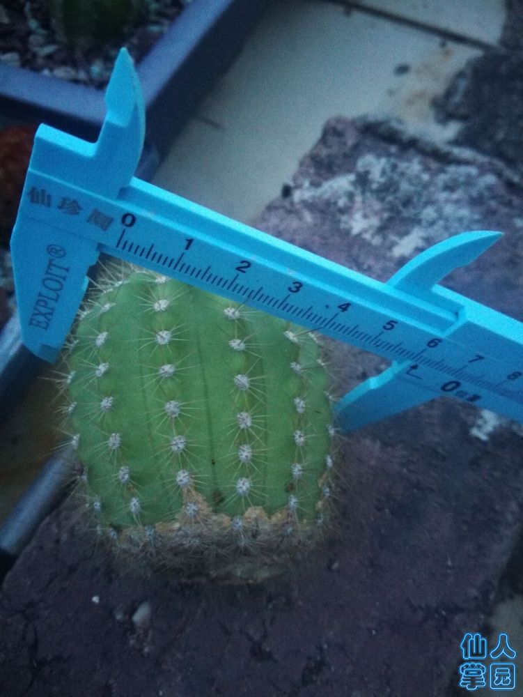 ɵ.jpg