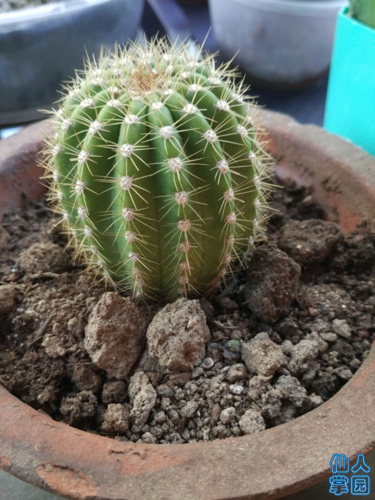 QQͼƬ20180530161453.jpg