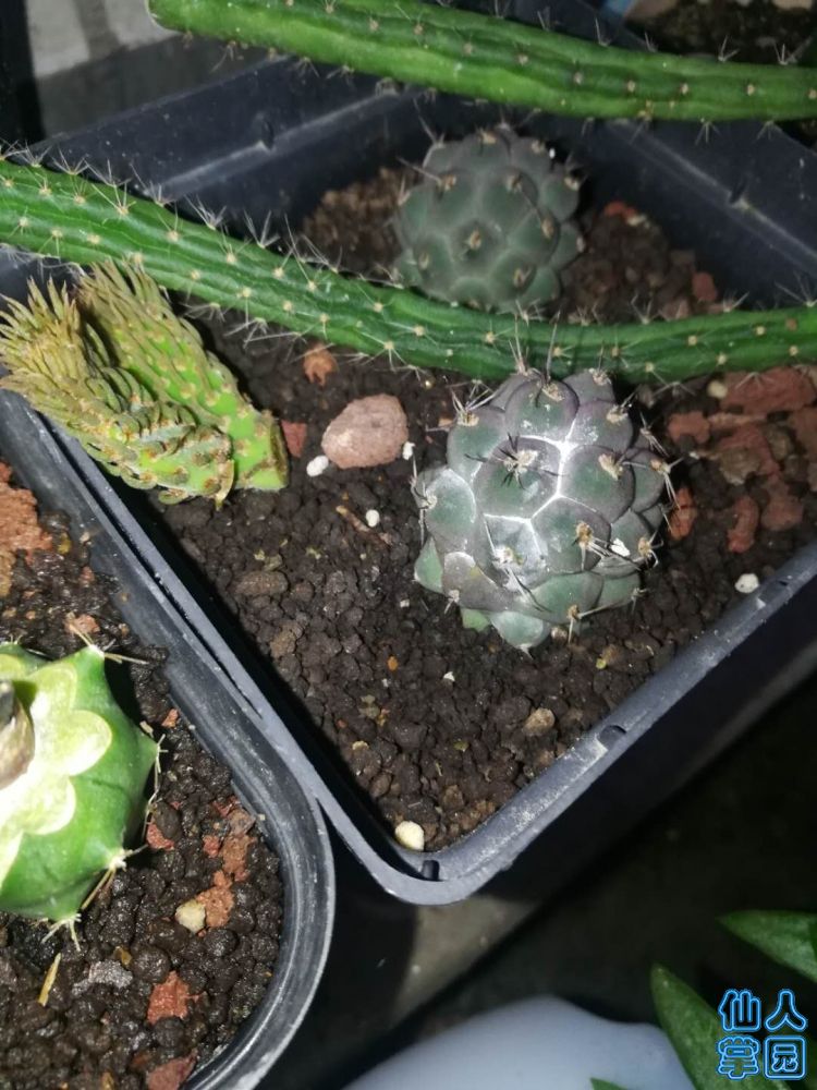 ?图片_20180706191138.jpg