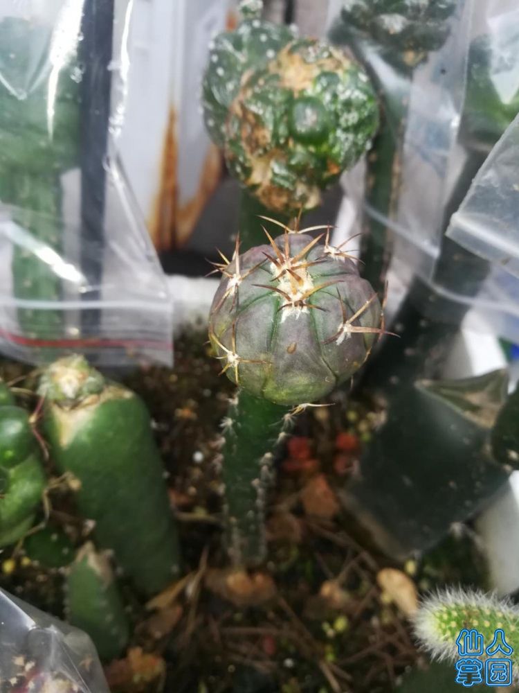 ?图片_20180706191155.jpg