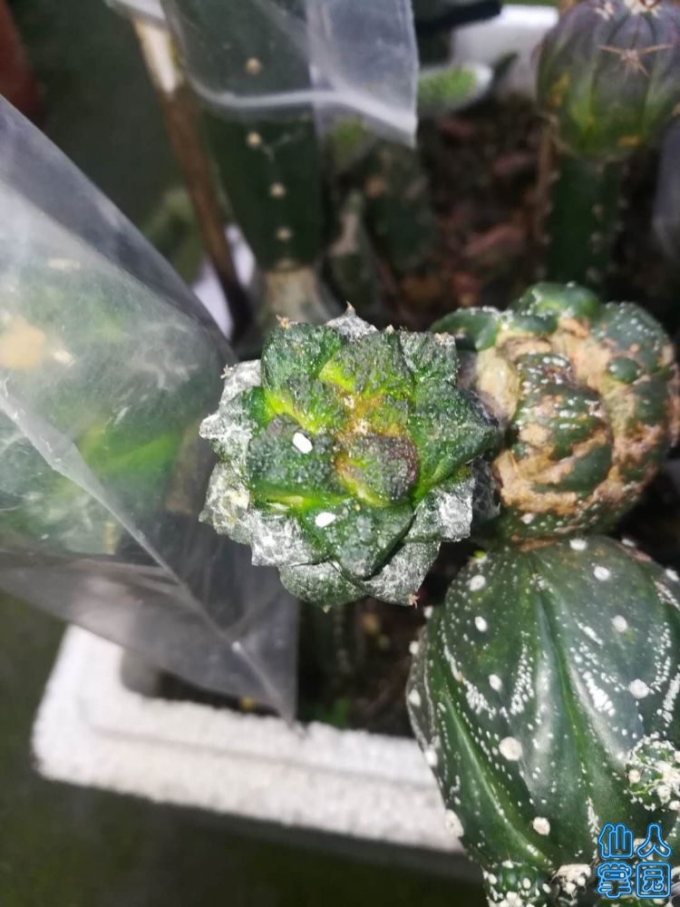 ?图片_20180706191151.jpg