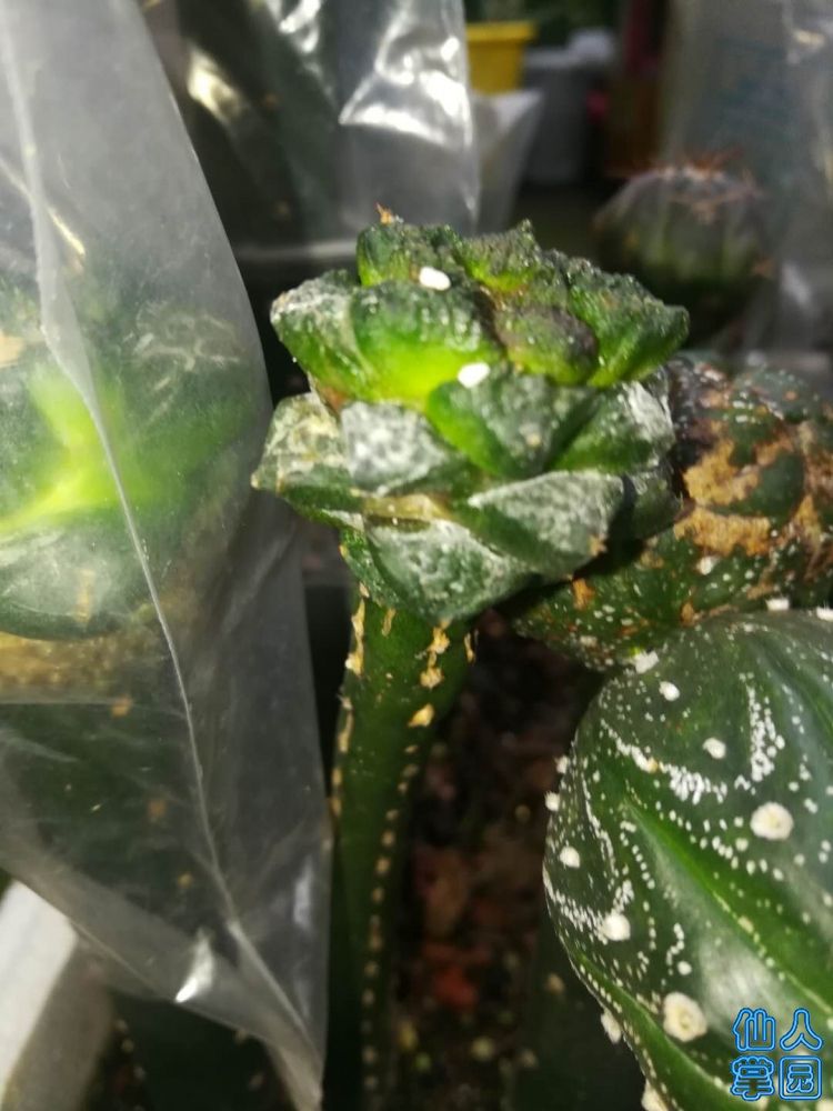 ?图片_20180706191147.jpg