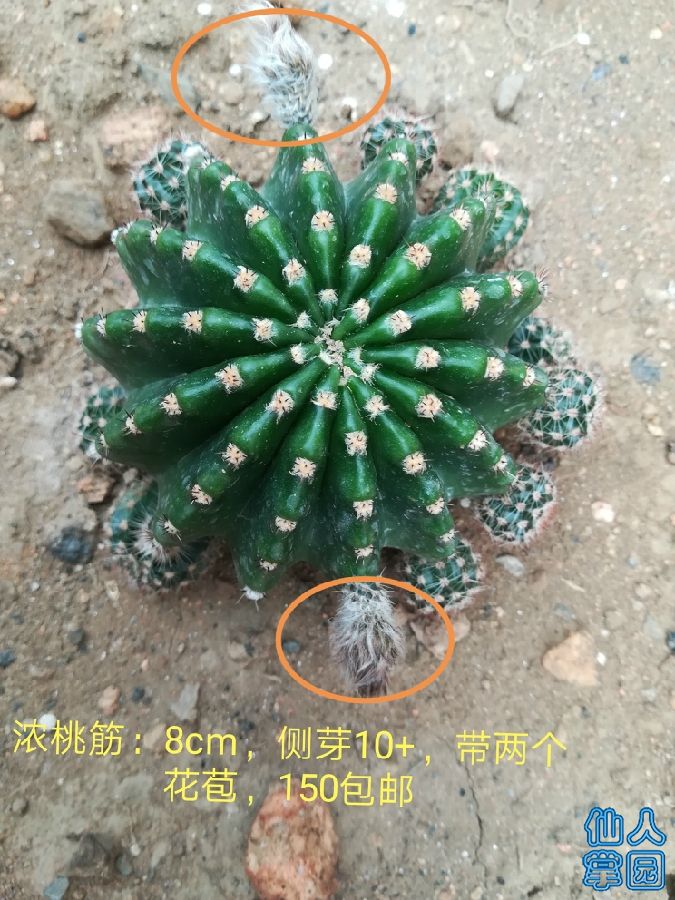 IMG_20180709_120222.jpg