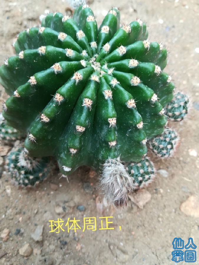 IMG_20180709_120403.jpg