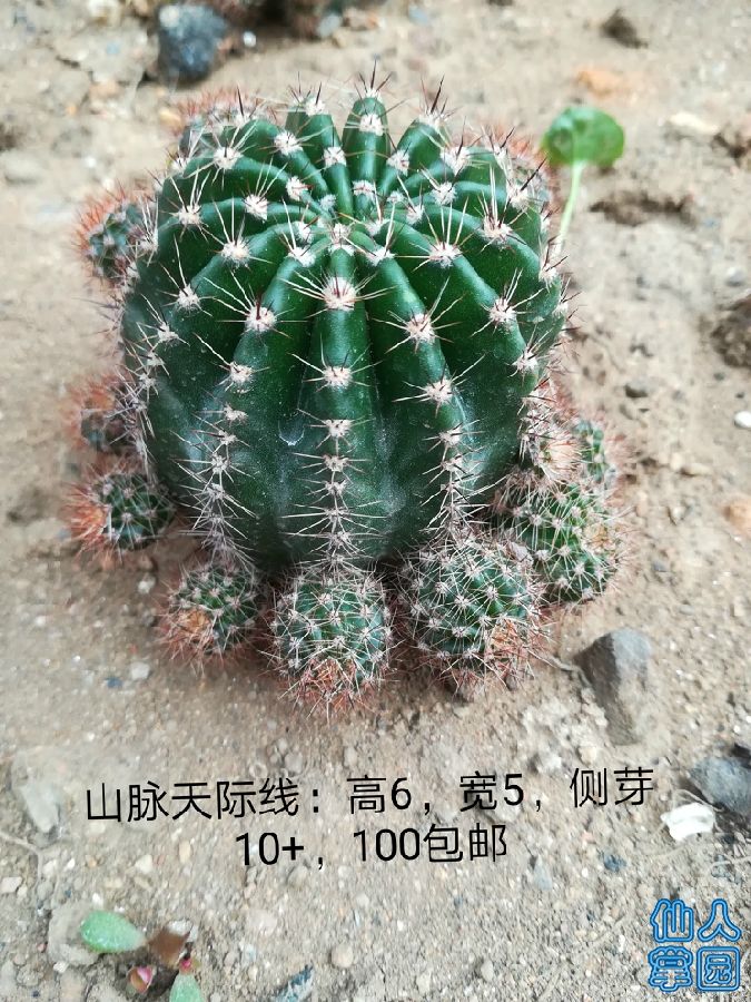 IMG_20180709_120607.jpg