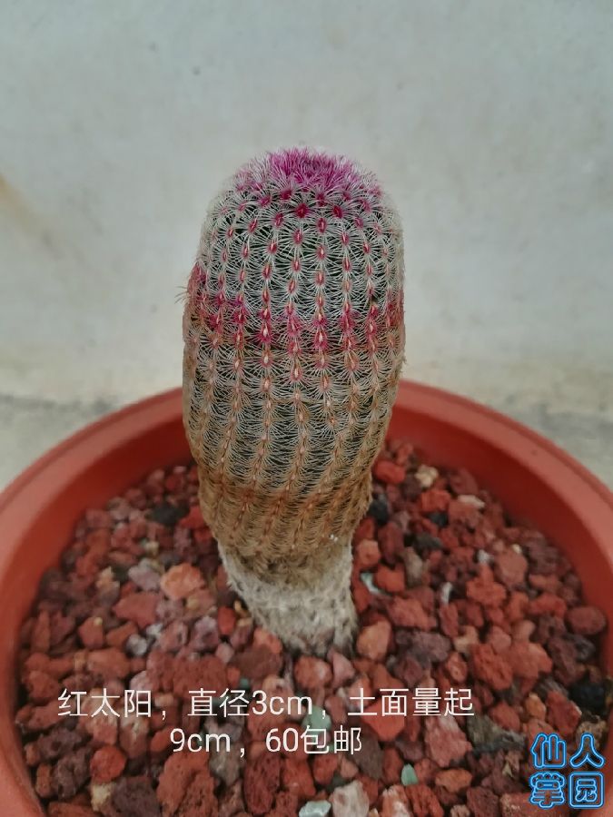 IMG_20180709_112705.jpg