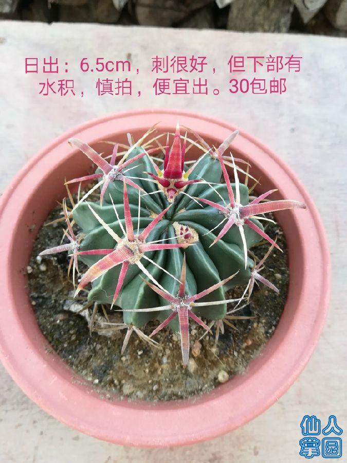IMG_20180709_114347.jpg