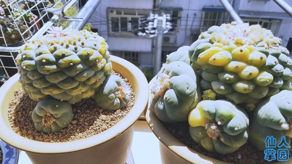 QQ图片20180415160220.jpg