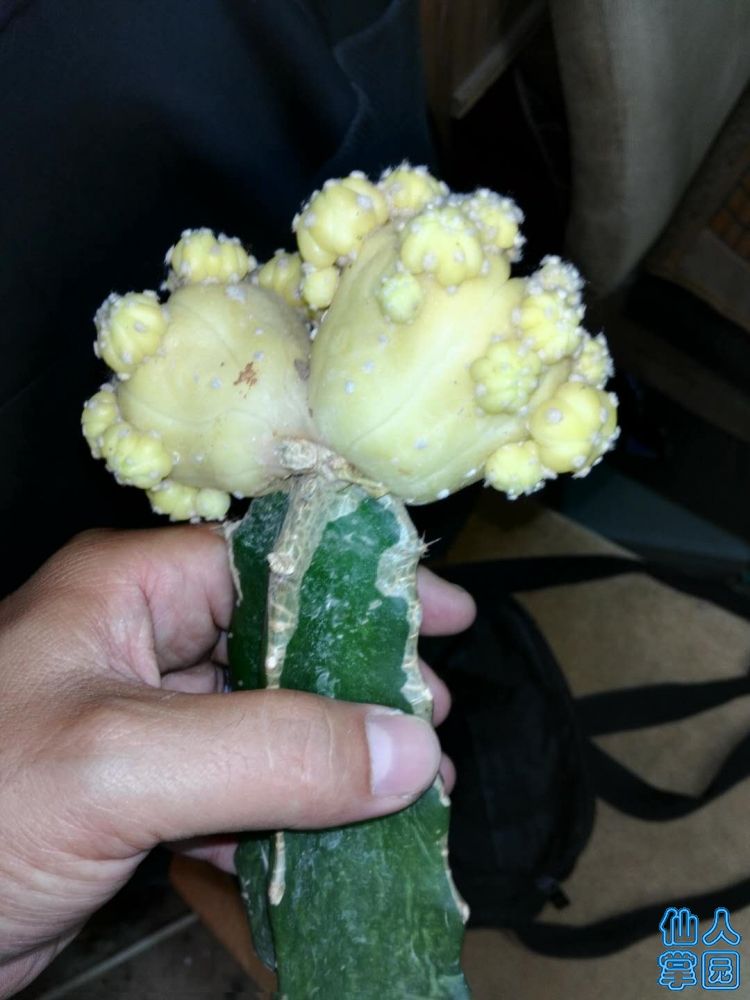 ?图片_20180721113253.jpg