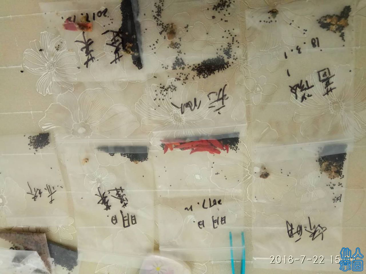 种子图片.jpg
