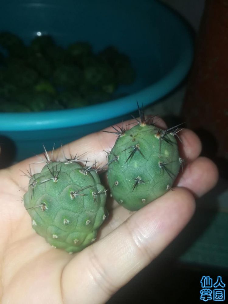 ?图片_20180724190847.jpg