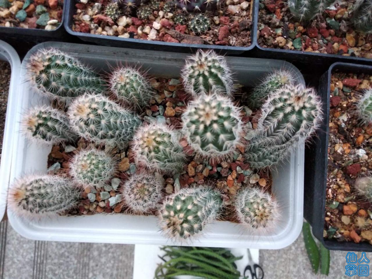 ?图片_20180727074637.jpg