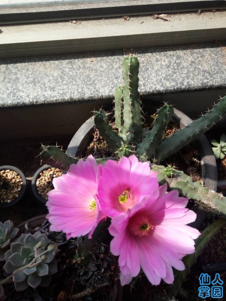 ?图片_20180727082319.jpg