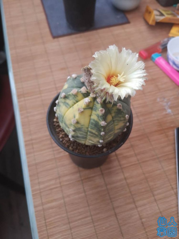 ?图片_20180731153023.jpg
