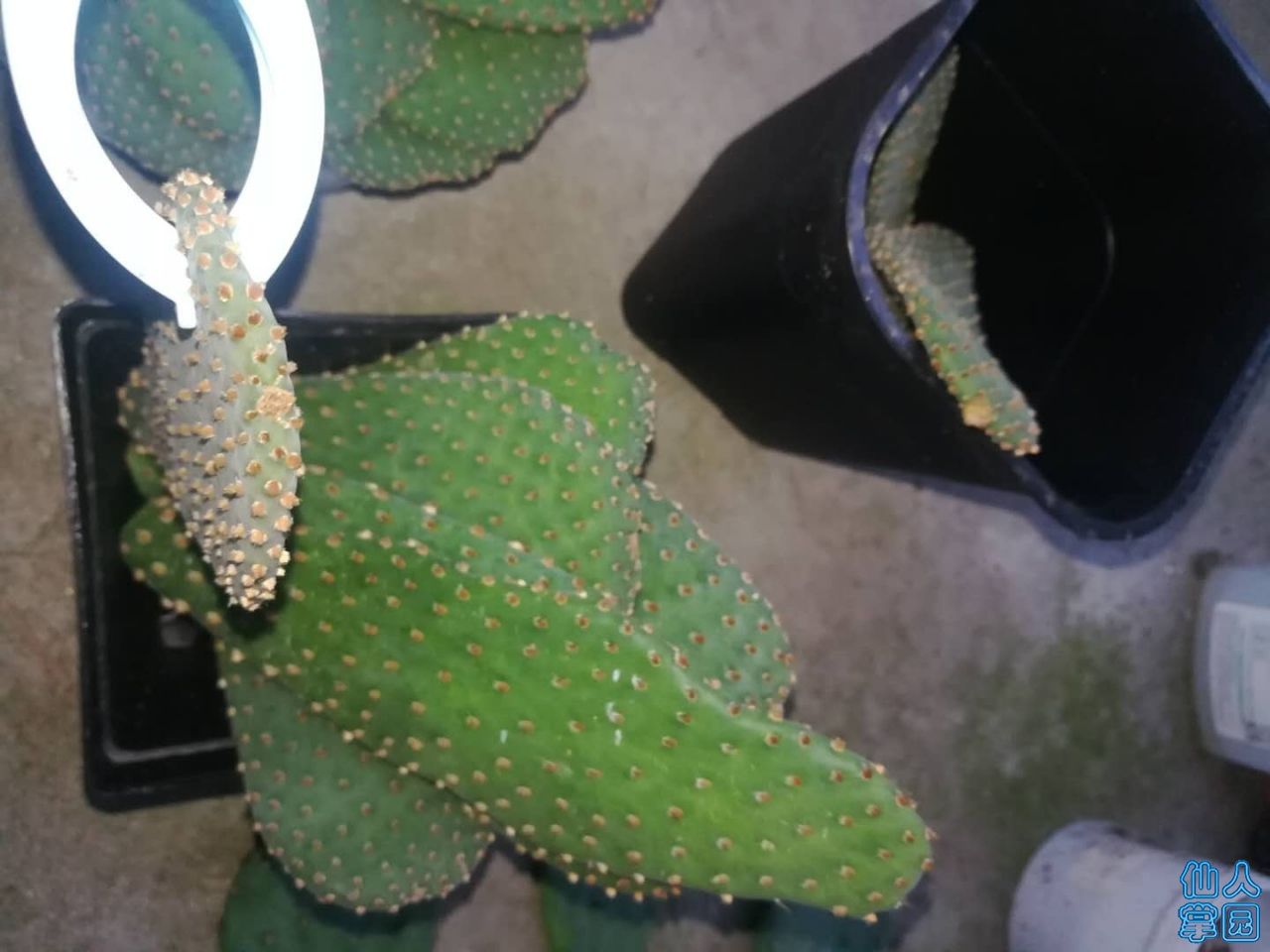 ?图片_20180804185138.jpg