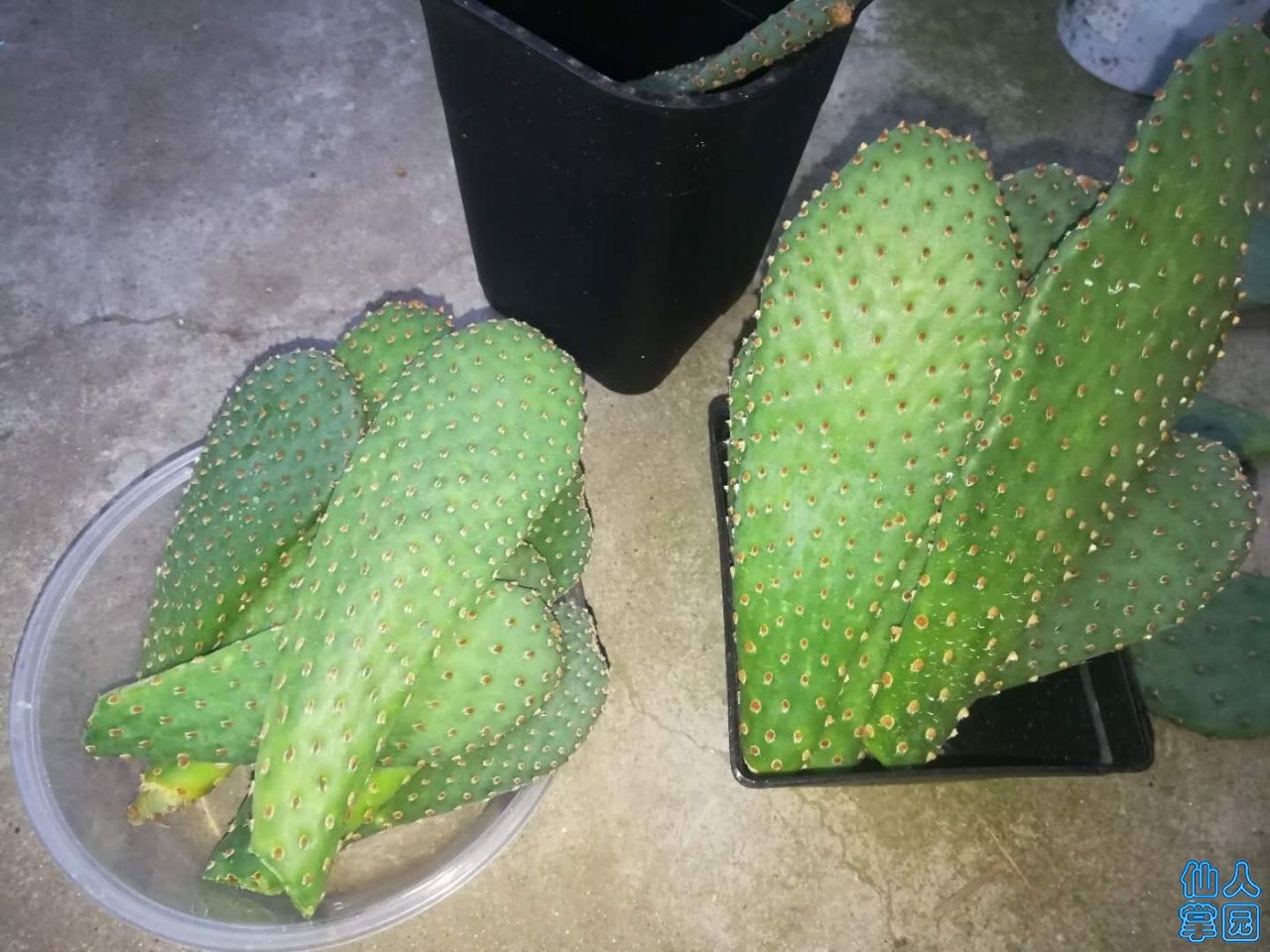?图片_20180804185122.jpg