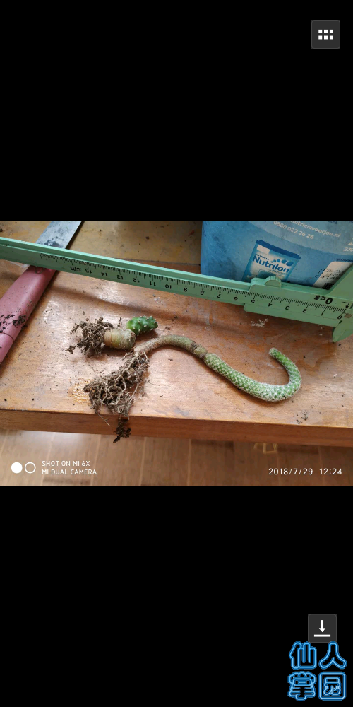 Screenshot_2018-07-31-15-32-21-813_com.tencent.mm.png