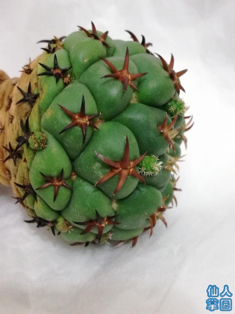 ?图片_20180809201712.jpg