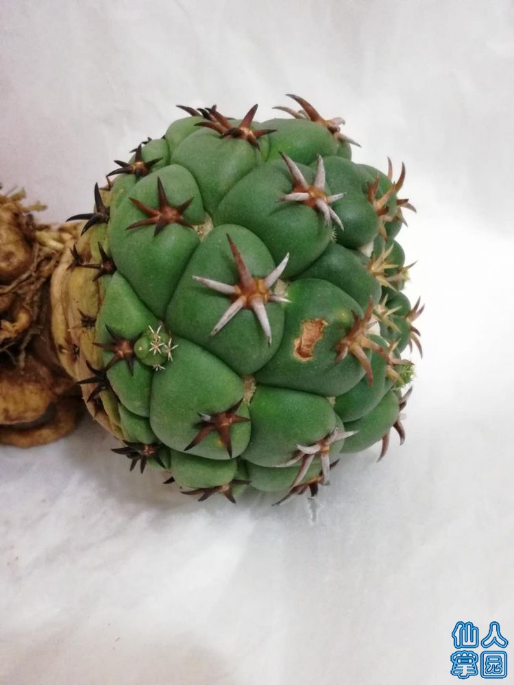 ?图片_20180809201823.jpg
