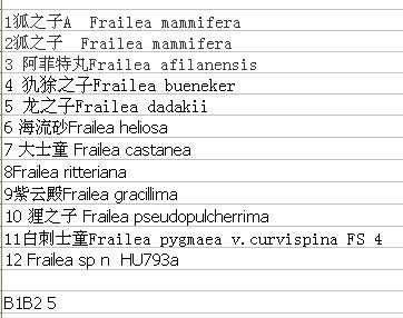 B1B2种子.JPG