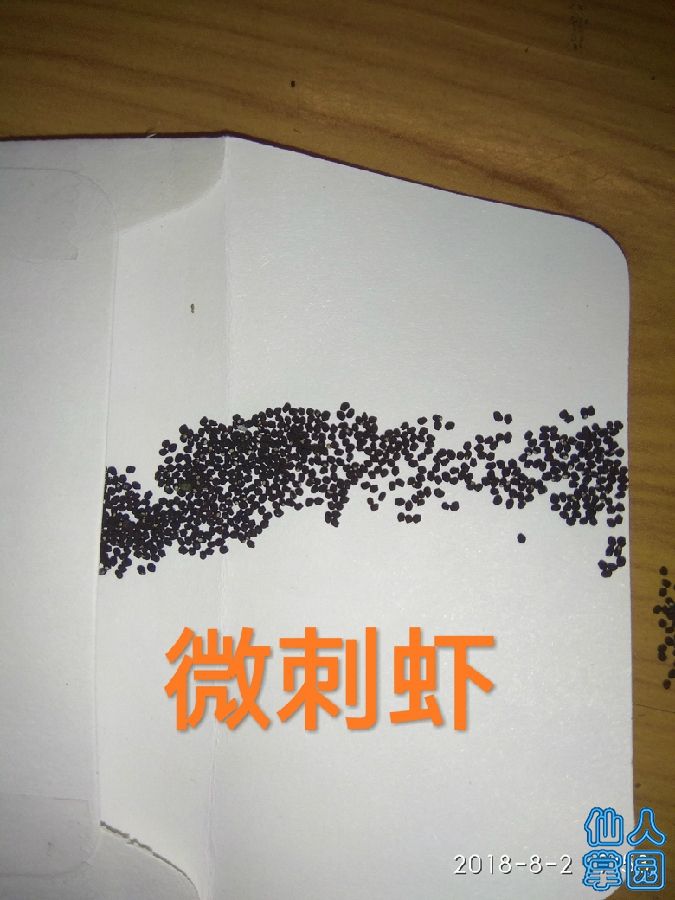 ?虾?