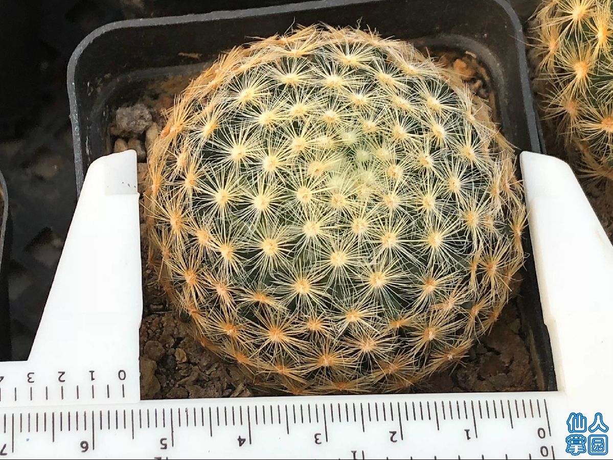 ʵ5.6-60
