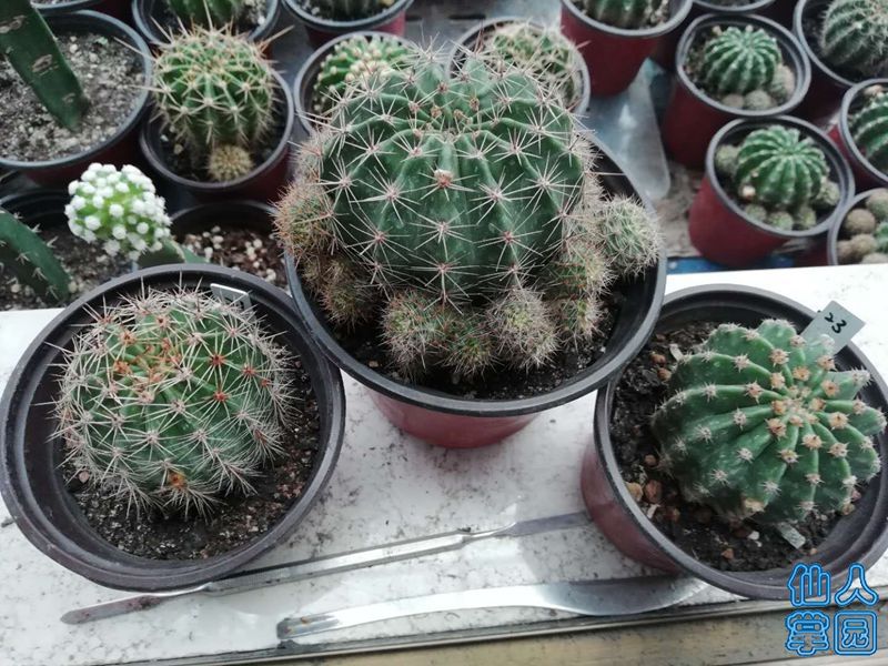1630735555_?.jpg