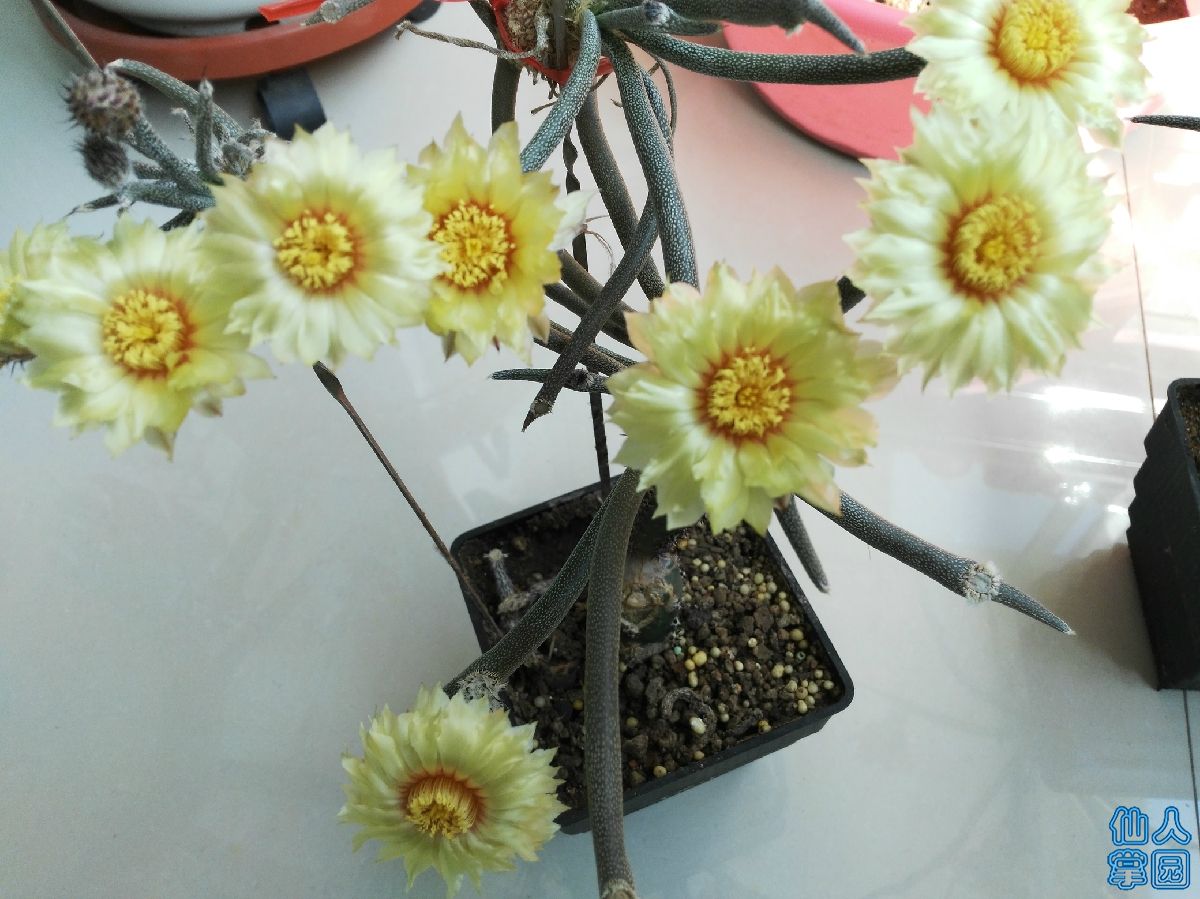 ?图片_20180418171256.jpg